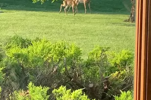 W3552 Equestrian Trail, Appleton, WI 54913 - Photo 8