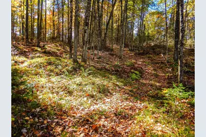 N16656 Dexter Drive, Pembine, WI 54156 - Photo 4