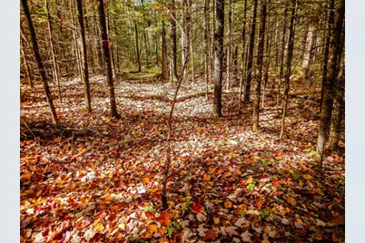 N16656 Dexter Drive, Pembine, WI 54156 - Photo 24