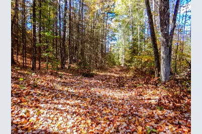 N16656 Dexter Drive, Pembine, WI 54156 - Photo 10
