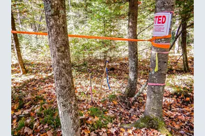 N16656 Dexter Drive, Pembine, WI 54156 - Photo 8