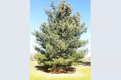 N3992 Shamrock Circle, Appleton, WI 54913 - Photo 48