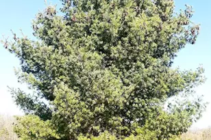 N3992 Shamrock Cir, Appleton, WI 54913 - Photo 48