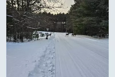 N2071 Mary Jane Circle, Waupaca, WI 54981 - Photo 4