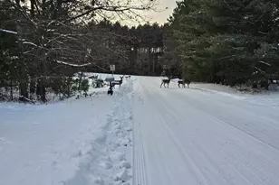 N2071 Mary Jane Cir, Waupaca, WI 54981 - Photo 4