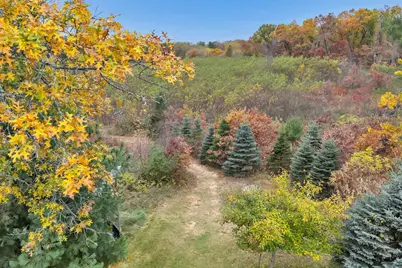 4006 Elkins Road, Amherst, WI 54406 - Photo 8