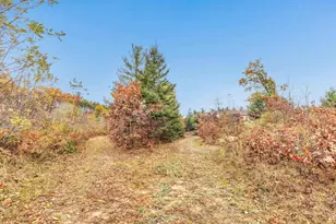 4006 Elkins Rd, Amherst, WI 54406 - Photo 66