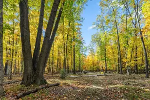 6252 Maple, Egg Harbor, WI 54209 - Photo 10