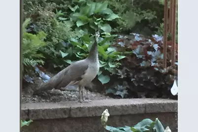 W5735 County Road E, Shawano, WI 54166 - Photo 84