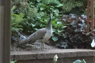 W5735 County Road E, Shawano, WI 54166 - Photo 84