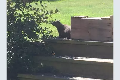 W5735 County Road E, Shawano, WI 54166 - Photo 82