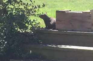 W5735 County Road E, Shawano, WI 54166 - Photo 82