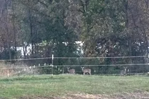 W1235 County Rd X, Berlin, WI 54923 - Photo 72