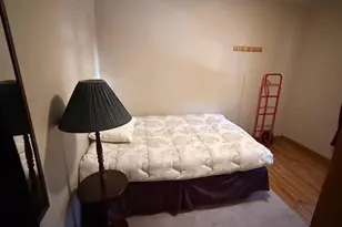 N11765 Deer Lake Rd, Athelstane, WI 54104 - Photo 16