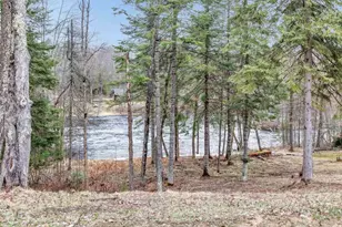 N11598 Kosir Ln, Athelstane, WI 54104 - Photo 36