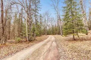 N11598 Kosir Ln, Athelstane, WI 54104 - Photo 46