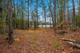 14754 N McComb Lake Ln, Mountain, WI 54149 - Photo 44