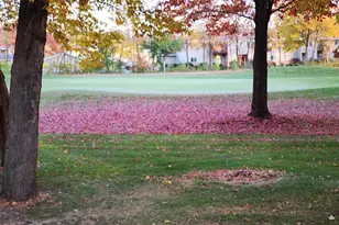 1579 Foxfire Ct, Waupaca, WI 54981 - Photo 2