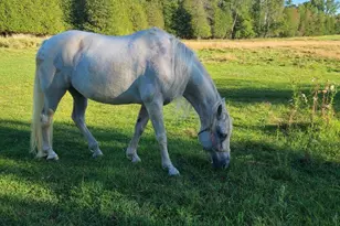 N700 S P3 Ln, Menominee, MI 49858 - Photo 30