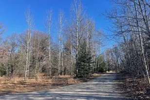 N11116 5 Star Ln, Crivitz, WI 54114 - Photo 46