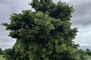 E7555 Ostrander Rd, New London, WI 54961 - Photo 32