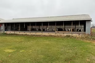 N5271 Madden Rd, New London, WI 54961 - Photo 60