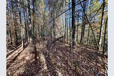 Right Of Way Road, Pembine, WI 54156 - Photo 1
