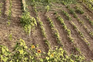 316 W Maes Ave, Kimberly, WI 54136 - Photo 40