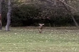 4309 10th St, Menominee, MI 49858 - Photo 68