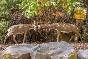 10014 Tank Ln, Brazeau, WI 54161 - Photo 56