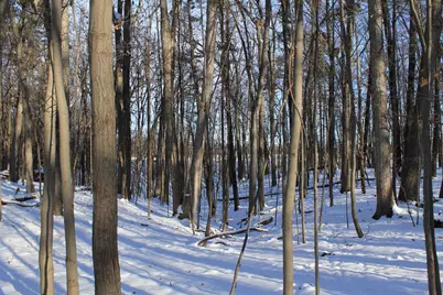 Old Military Road, De Pere, WI 54115 - Photo 24