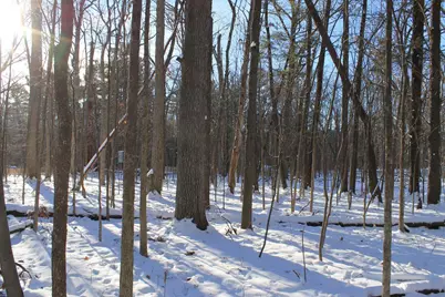 Old Military Road, De Pere, WI 54115 - Photo 22