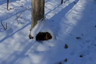 Old Military Road, De Pere, WI 54115 - Photo 26