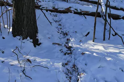 Old Military Road, De Pere, WI 54115 - Photo 20