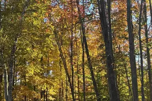 15744 Double B Ln, Mountain, WI 54149 - Photo 64