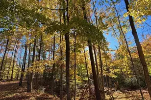 15744 Double B Ln, Mountain, WI 54149 - Photo 60