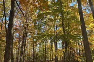 15744 Double B Ln, Mountain, WI 54149 - Photo 62