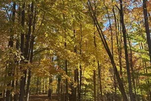 15744 Double B Ln, Mountain, WI 54149 - Photo 58