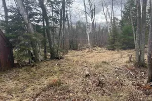 15744 Double B Ln, Mountain, WI 54149 - Photo 34