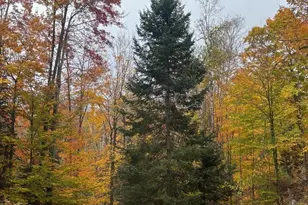 15744 Double B Ln, Mountain, WI 54149 - Photo 66