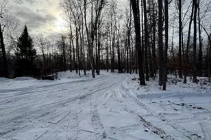 15744 Double B Ln, Riverview, WI 54149 - Photo 38