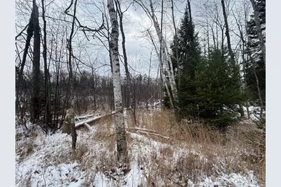 15744 Double B Lane, Riverview, WI 54149 - Photo 58