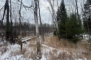 15744 Double B Ln, Riverview, WI 54149 - Photo 58