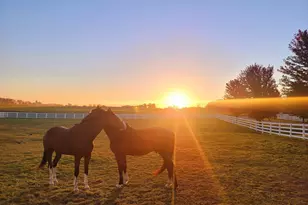 5678 Morrison Rd, De Pere, WI 54115 - Photo 2