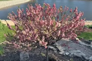 111 Canal St, Little Chute, WI 54140 - Photo 70