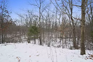 N12802 Pike River Rd, Wausaukee, WI 54177 - Photo 16