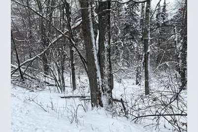 W13470 Eagle River Road, Silver Cliff, WI 54104 - Photo 16