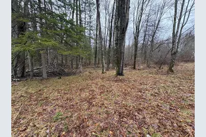 W13470 Eagle River Road, Silver Cliff, WI 54104 - Photo 4
