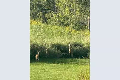 E8946 State Road 22, Bear Creek, WI 54922 - Photo 40