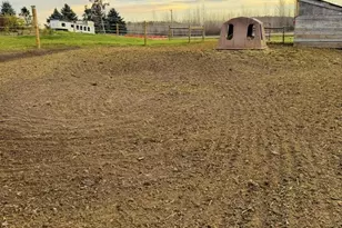 E8946 State Road 22, Bear Creek, WI 54922 - Photo 2